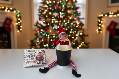 Elf on the Shelf activity box with 24 days of Christmas activities and surprises for kids in South Africa